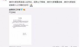 崇阳最新爆料事件视频大全,视频大全揭秘惊人真相